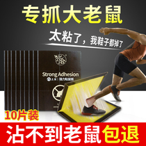 Rat Mucus Powerful Sticky Rat Board Glued Large Rat One Nest End Trapping Mice Stick-Stars Home Thickening of Mouse Gods