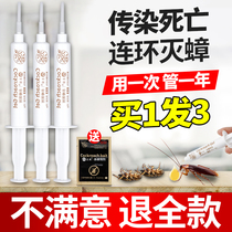 Kill cockroach drug Home One cohorts End theorizer Size through killing powerful and efficient cockroach Cockroach Bait non-toxic