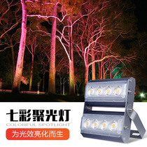 Led colourful polyillumination tree light outdoor waterproof remote external wall Spotlight Hotel Architectural Landscape Brightening shooting tree light