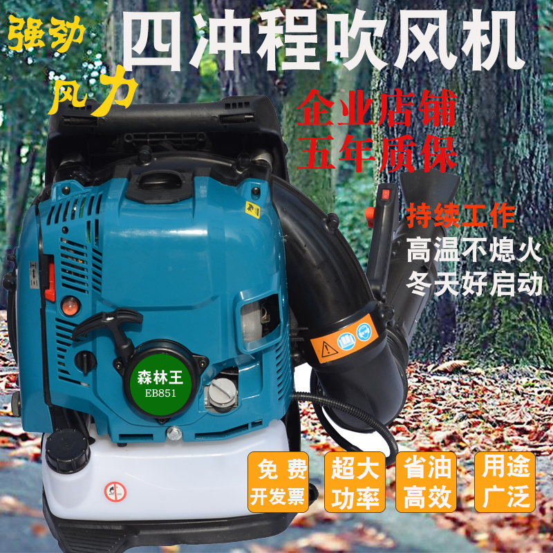 Backpack petrol blower spray-Taobao