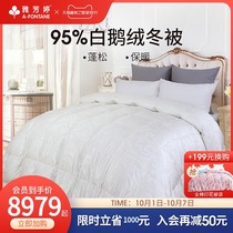 Ya Fangting duvet 95 white goose down winter quilt warm and thick winter quilt core single double quilt fluffy