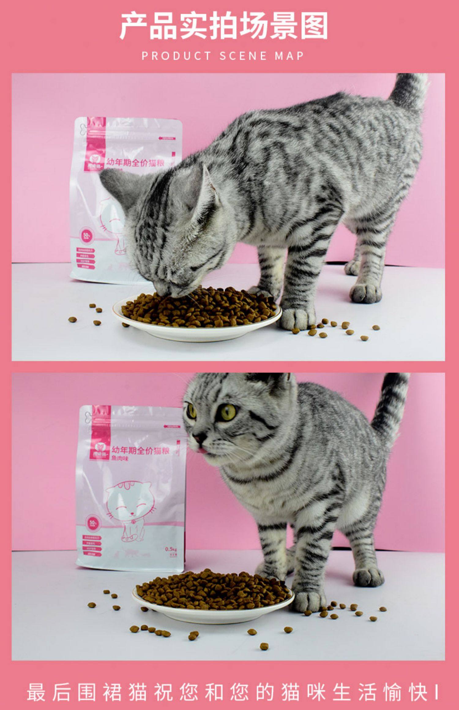 围裙猫猫粮幼猫粮深海鱼肉室内猫流浪猫离乳期1-4个月1.5kg3斤_米折派