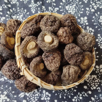 Shexiang Jingning She Senshan pearl mushroom small Shiitake mushroom dry goods cut foot small shiitake mushroom Shexiang agricultural products 250g*2 packs