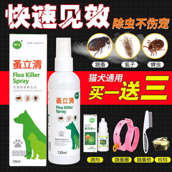 벼룩 및 가정용 개 외에 애완용 고양이 및 개 벼룩 및 가정용 개 외에 애완용 고양이 및 개