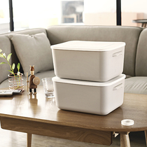 Chenning small storage box with lid mini desktop retail sundries storage box small plastic box