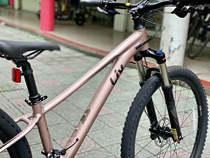 GIANT GIANT 2021 Tango 2 ladies mountain bike oil disc Shimano 30-speed shock absorber locking aluminum alloy