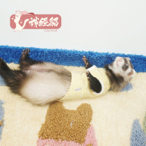 * Striped T-shirt * Pet Cedar Cute Little Darling Clothes Angoru Angruma Snow Pediatrics