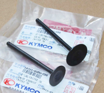 Gwangyang CK125T-3L moving Li 125 curve lover ACC original factory intake valve exhaust valve pair price