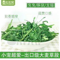 2kg export grade barley grass section fragrant green taste is very good rabbit chinchillo Dutch pig loves 200g