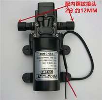 12V self-priming pump agricultural high pressure diaphragm pump DC micro water pump FL-2203-1 sprayer electric water pump