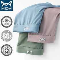 Cat Man Ice Silk Underpants Mens mid waist No marks Antibacterial Thin style Breathable Pants Head Sports Men Trends Personality Flat Corner Pants