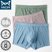 Cat Human Underpants Male Ice Silk Unscratched Antibacterial Flat Angle Pants Mid Waist Thin style Breathable Teenagers Loose Four-corner Pants Head Tide