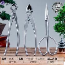 Bonsai aluminum wire aluminum wire modeling gardening wire white soft iron wire bonsai special making fixing tool styling flower