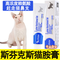 Sphinx Private Cat Amine Cream Cat Ampaste Prevention Cat Nasal Support Cat Support Nasal Flow Tears Lysine Taurine