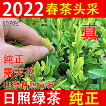 Shandong Zhizhao Green Tea 2022 New Tea Alpine Open-air Head Picking Spring Tea Fresh and intense and intense aroma type tea 500g