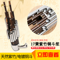 Yuefu Shisheng musical instrument 17 spring beginner d-tone student Round Sheng entry pappered copper bucket Sheng Adult performance professional