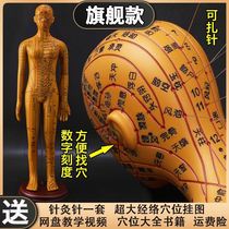 TCM male models of blood acupuncture acupuncture in the human body of soft - sized small head to push the needle in the head