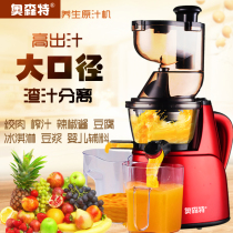 Household automatic multi-function large diameter juice machine Slow slag juice separation juicer Fruit and vegetable machine Ice cream machine