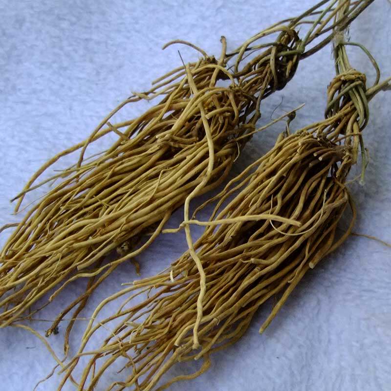 马尾参满山香西双版纳中药材100g云南野生中草药民间良