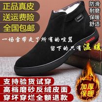 Yaohaas mens shoes cotton shoes winter high-grade plus velvet padded multi-Ying Baodian wool cotton boots leather father shoes