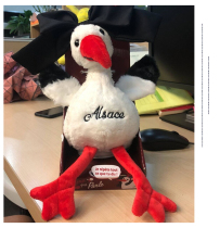 Middle Restaurant 2 Zhao Weis Identical Reread Chicken Fire Birds Dialogue Chicken Ecstasy Recording Chick speaks Dolls