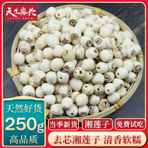 Natural coreless lotus seeds dry goods Xiangtan Microdermabrasion coreless white lotus seeds 250g sulfur-free smoked inch three lotus can be matched with silver fungus