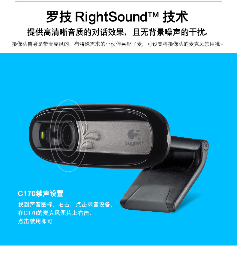 Веб-камера Logitech C170 Веб-камера Logitech C170