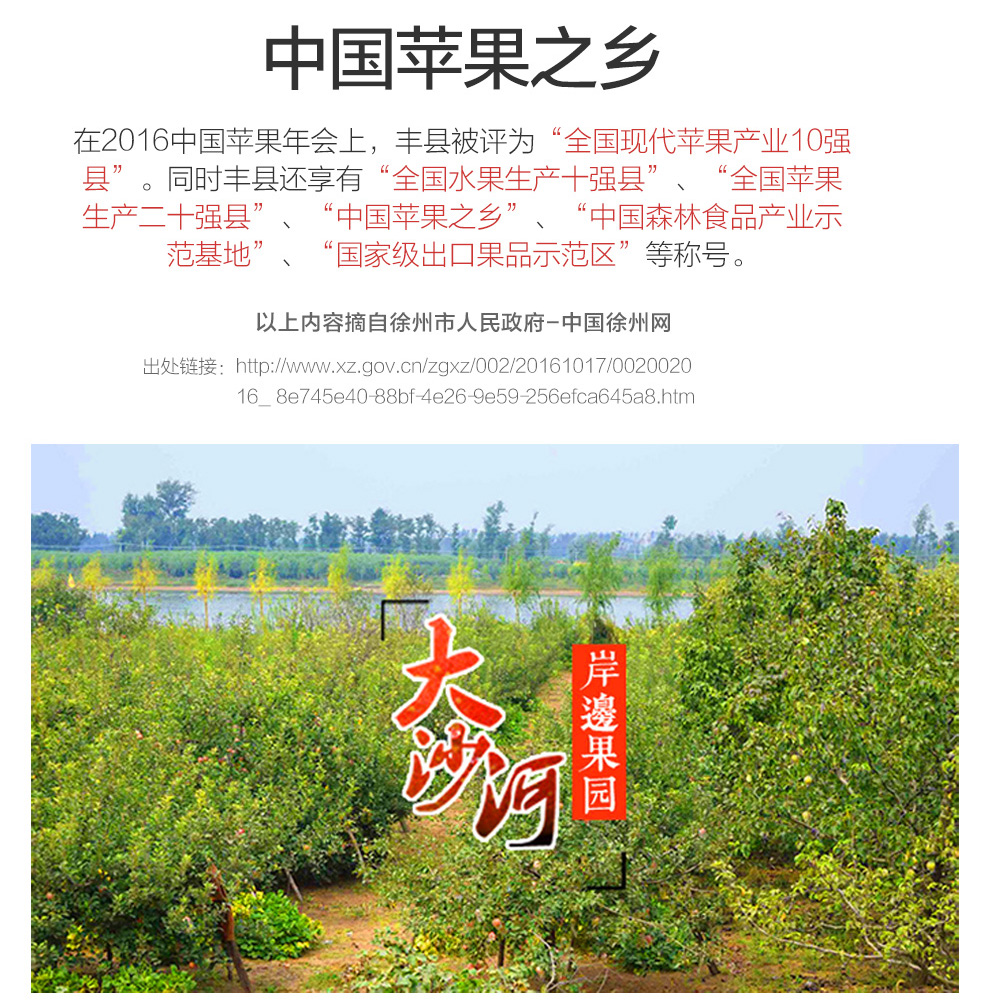 丰县大沙河红富士苹果 新鲜生鲜水果 10斤装 多汁冰糖