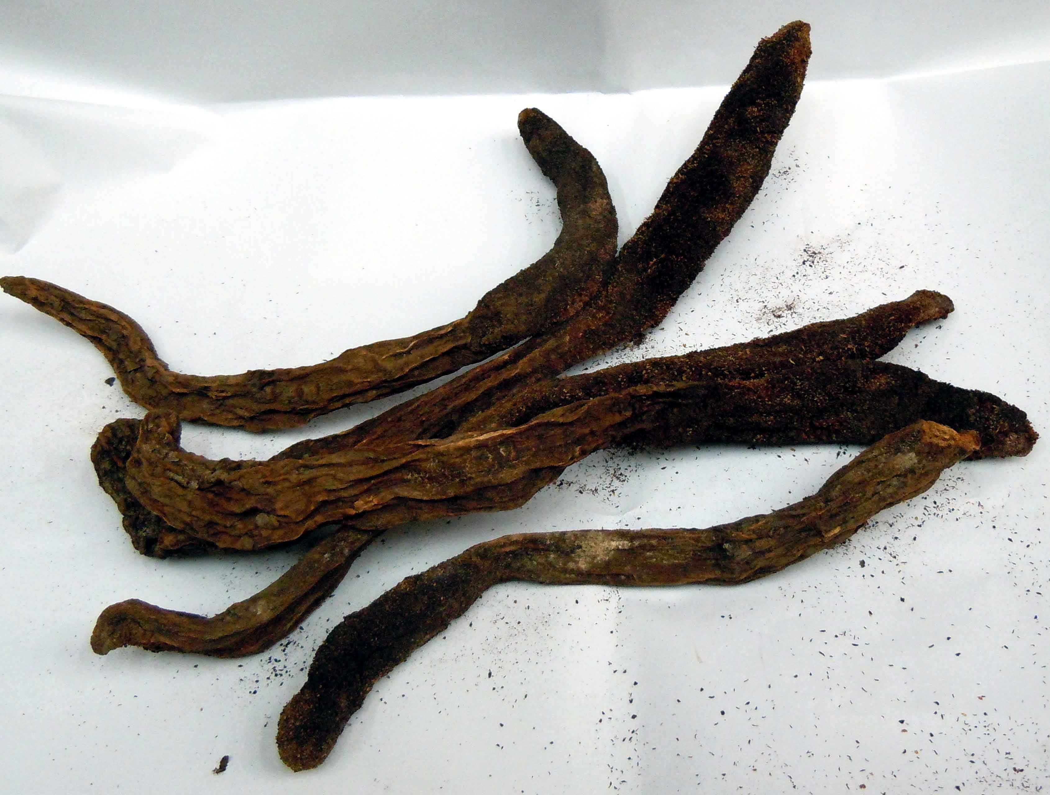 新疆土特产,滋补圣品,沙漠野生锁阳