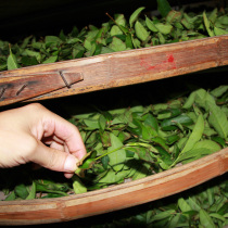 Anxi Shuangkeng Floral Golden Gui Tea shake green ripe fragrant Huang Danxin Tea with tea stem Original Tea 500g