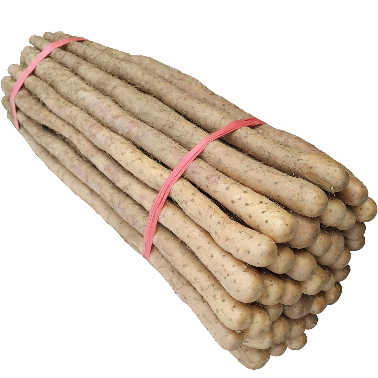 怀慈温县铁棍山药河南焦作怀山药铁杆山药新鲜