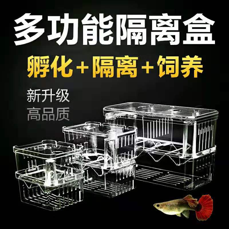 Fish tank isolation box peacock fish breeding box hatching box bucket fish cup tropical fish small fish juvenile extra large box delivery room