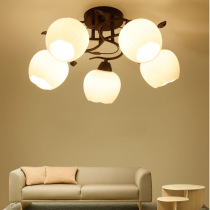 Multi-head ceiling lamp American flower wrought iron restaurant bedroom lamp E27 bulb warm light three-color light LED can be 110V