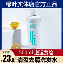 Green Leaf Love Life Light anti-dandruff Shampoo Supple oil control 500ml Anti-dandruff anti-itching shampoo