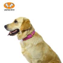 Italy imports the UNITED PETS pooch full leather collar item ring