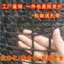 Breeding Net Leaking Manure Plastic Geogrid Sunscreen Breeding Chicken Pad Feet Chicken Duck Goose Fence Mesh Black Glued Net