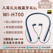 Sony Sony WI-H700 neck hanging in-ear wireless Bluetooth hanging neck sports running call headset wheat