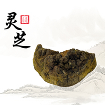 Lan Shengtang Tibetan specialties Ganoderma lucidum Ganoderma lucidum cut Ganoderma lucidum slices grind Ganoderma lucidum tea 500g