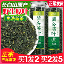 Dandelion leaf tea wild natural Changbai Mountain pure dandelion leaf tea dandelion camellia root tea dry special grade