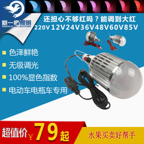 New Shiny Toning Fruit Lamp Raw Pork Lamp 12V24V48V60V85V Battery Electric Car Ground Showering