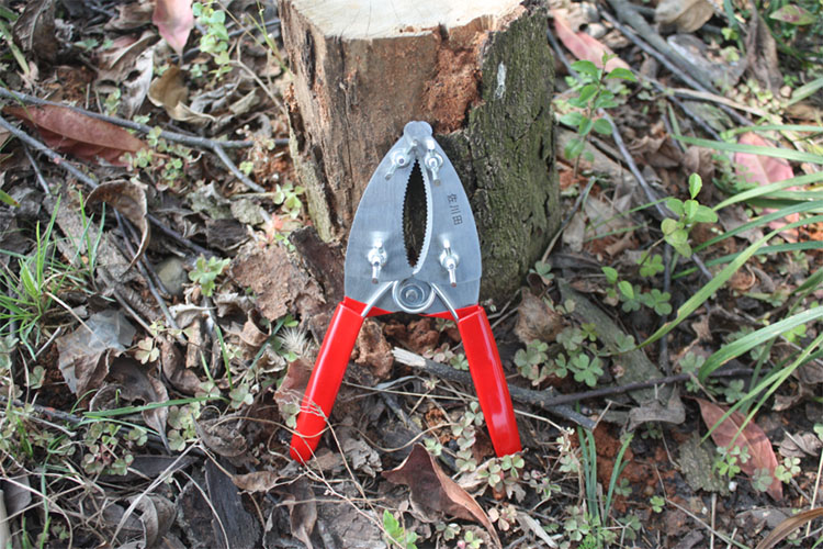 环割刀 猕猴桃环割刀葡萄环割剪刀苹果梨树杨梅环割刀工具