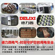 Delisi Motorcycle Cell Charger Automatic High Power 20A 12V24V Pure Copper Charger