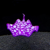 Fish tank building simulation fish water ethnic decoration red gold fish plastic ornamental fish with suction cup water grass fake mountain hot sell