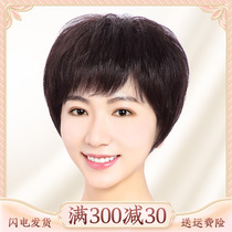 Wig hair female whole life hair summer all head cover middle and elderly woman mother wig set natural short shape