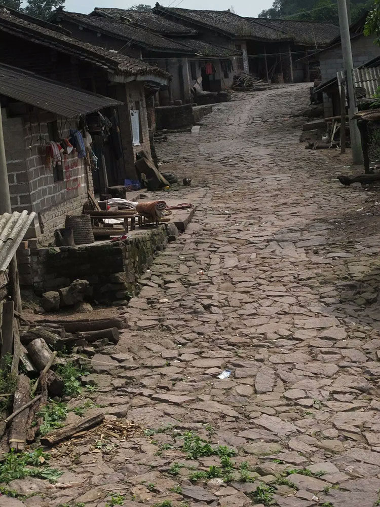 茶香记 倚邦老街古春 2017年头春古树 香高馥郁 蜜韵显著