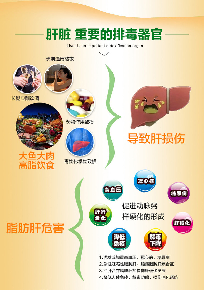 易善复多烯磷脂酰胆碱胶囊36粒说明书,价格,多少钱,怎么样,功效作用