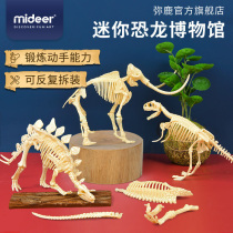 Mideer Miraffe Children Mini Dinosaur Museum Archaeological Barking Dinosaur Skeleton Model Pendulum Dragon 3