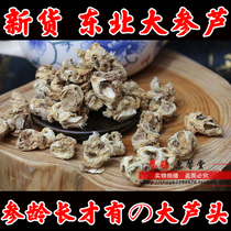 Ginseng Lutou Northeast specialty Changbai Mountain ginseng Lu Sheng Sun ginseng ginseng Lu white ginseng Lu head 100g big ginseng head dry goods