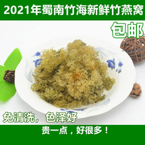 Free Wash Bamboo Nest-Level Bamboo Flowers Sichuan Yibin Changning Wild Bamboo Fungus Hotel Upscale Vegetarian Food 250 gr