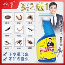 Ridge Peak Insecticide Household Sewer Kitchen Kill Centipedes Cockroach Tide Worms Drug Extermination Little Flying Insect Deity Bed Room